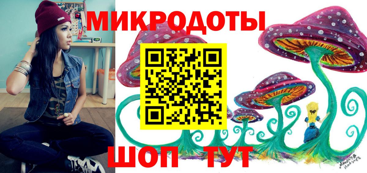 Псилоцибиновые грибы Cubensis Менделеевск