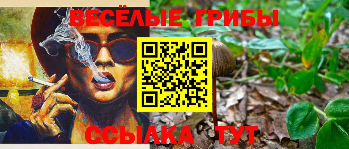 Менделеевск  Псилоцибиновые грибы прущие грибы  Вход с VPN 
